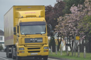 DHL Logistics   MAN truck 6989358238